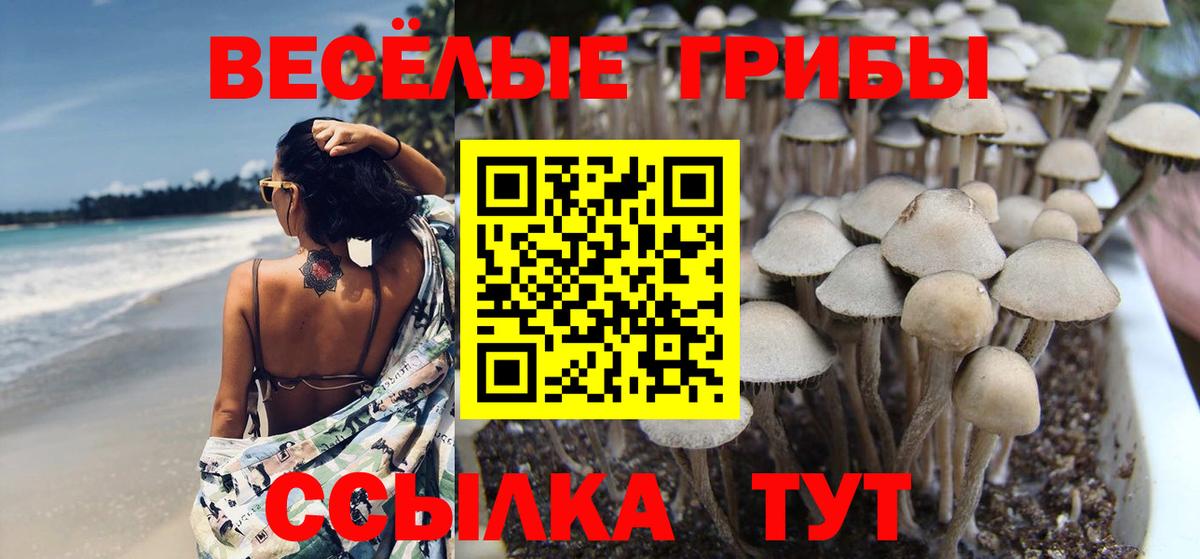 Галлюциногенные грибы MAGIC MUSHROOMS Гай